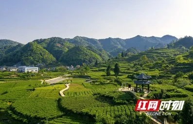 图片8.jpg 图片8.jpg