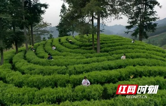 图片18.marked.jpg 图片18.marked.jpg